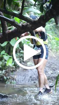 BIB:  <button type="button" onclick="openModal(27809012)" class="btn btn-primary btn-sm float-right" data-toggle="modal" data-target=".modal-high-quality">
                <i class="fa fa-download"></i> Download
                </button>